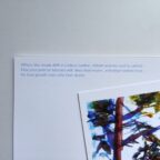 [Klm3c] Langit negeri 3 daun (2 detail)