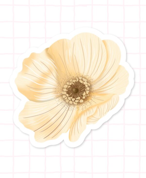 Single Ivory Daisy 01 Single Ivory Daisy 01