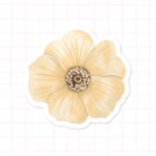 Single Ivory Daisy 03