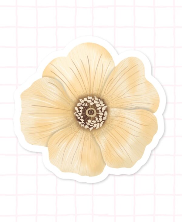 Single Ivory Daisy 03 Single Ivory Daisy 03