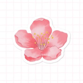 Single Pink Blossom
