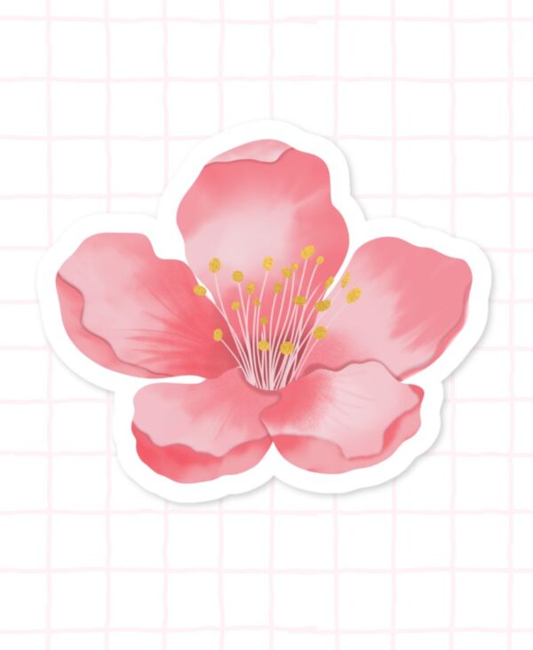 Single Pink Blossom Single Pink Blossom