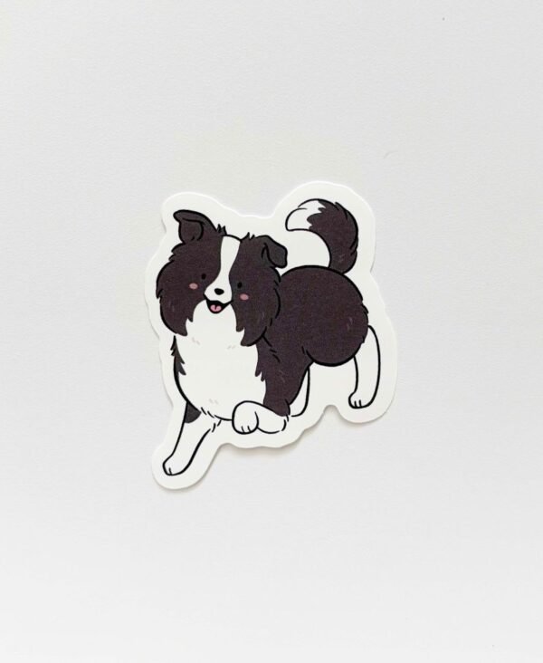 Border collie_Small.jpg Border collie_Small.jpg