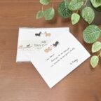 paper & peel photo products - 5